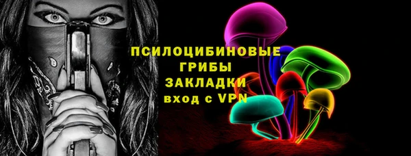 бошки Няндома