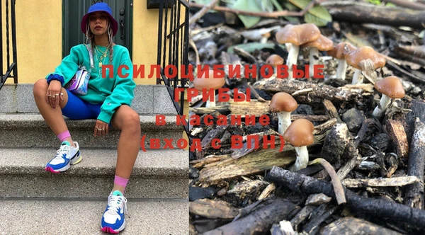 прущие крисы Белоозёрский