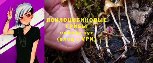 прущие крисы Белоозёрский