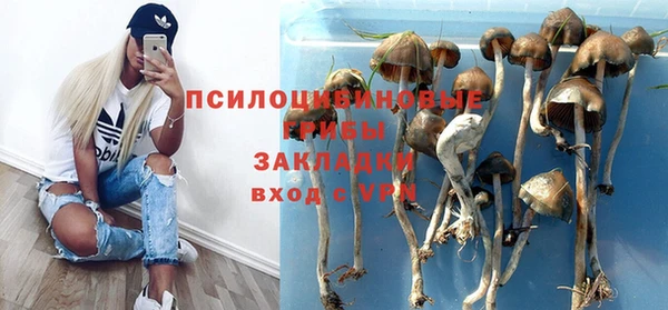 прущие крисы Белоозёрский