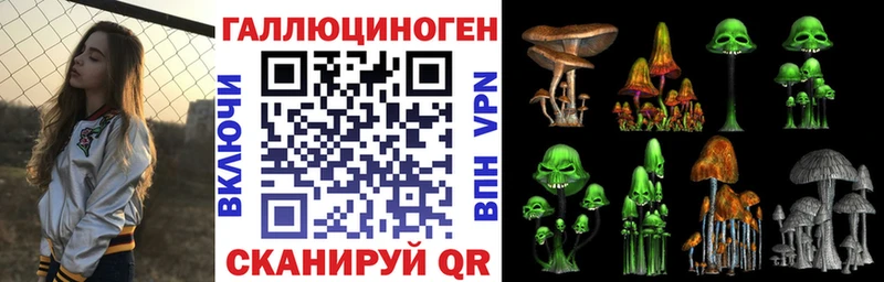 Галлюциногенные грибы Psilocybine cubensis  купить закладку  Черноголовка 